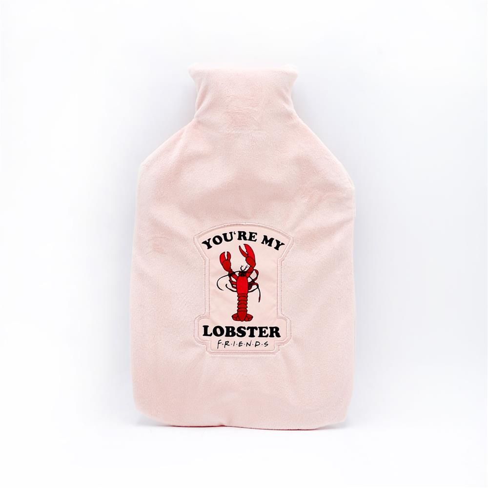 HOT WATER BOTTLE FRIENDS YOUR MY LOBSTER - 1